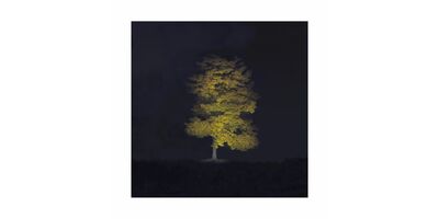 Ralf Peters - Herbst 1, 2020 - Bernhard Knaus Fine Art