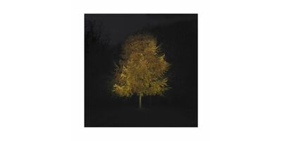 Ralf Peters - Herbst 3, 2020 - Bernhard Knaus Fine Art