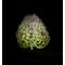 Ralf Peters - Baum, 2010 - Bernhard Knaus Fine Art