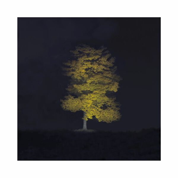 Ralf Peters - Herbst 1, 2020 - Bernhard Knaus Fine Art