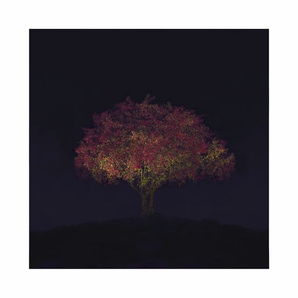Ralf Peters - Herbst 2, 2020 - Bernhard Knaus Fine Art