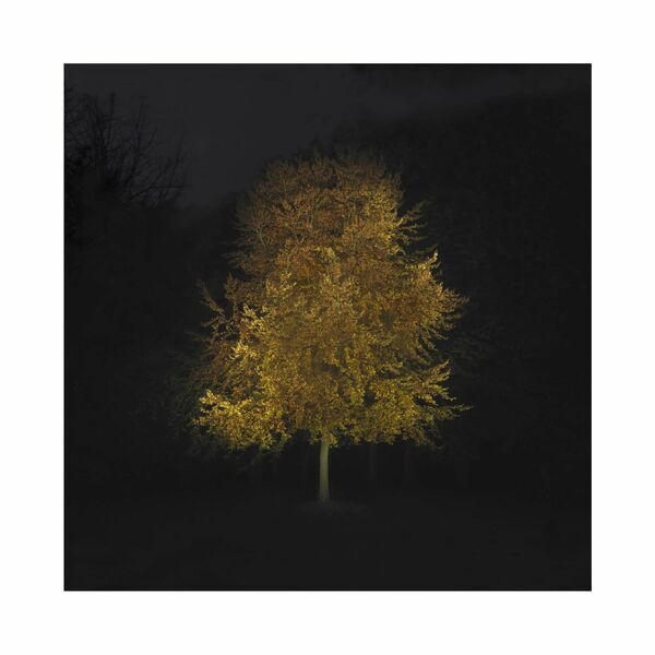 Ralf Peters - Herbst 3, 2020 - Bernhard Knaus Fine Art